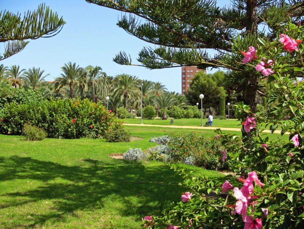 27-3- Комната С Балконом В Квартире Аликанте Для 5 Человек Alicante Exterior foto